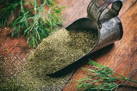 فروش شوید خشک بلغور + قیمت خرید به صرفه